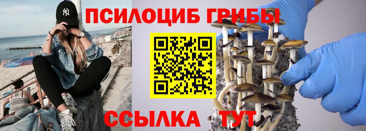 Сарапул  Псилоцибиновые грибы Psilocybe  Вход с VPN 